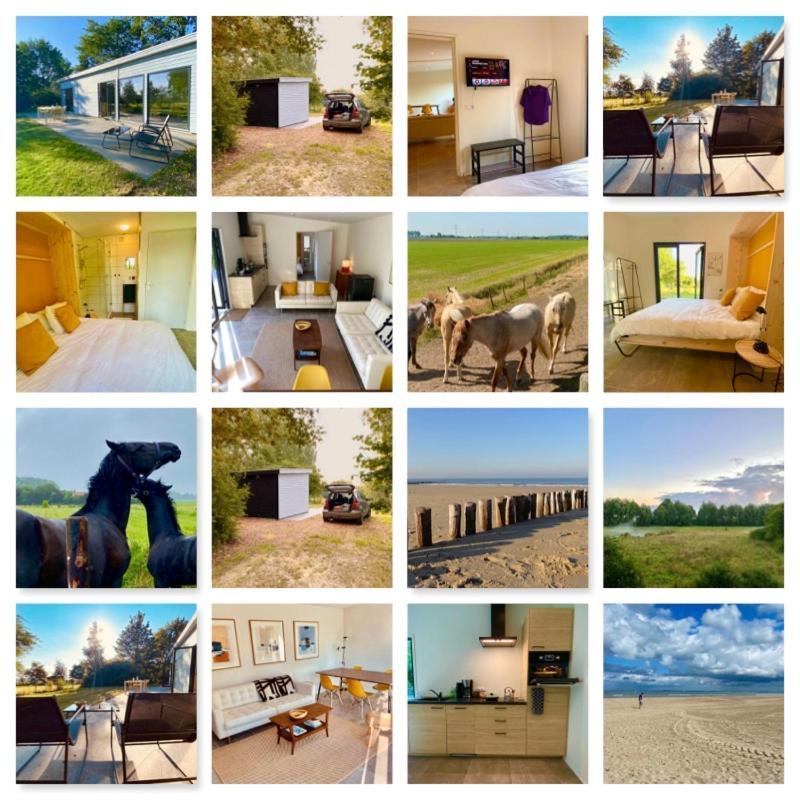 Natuurhuis Zeeuwse Rust Voor Wandelingen Aan Zee, Fietstochten In Natuur En Culinair Genieten Vila IJzendijke Exterior foto
