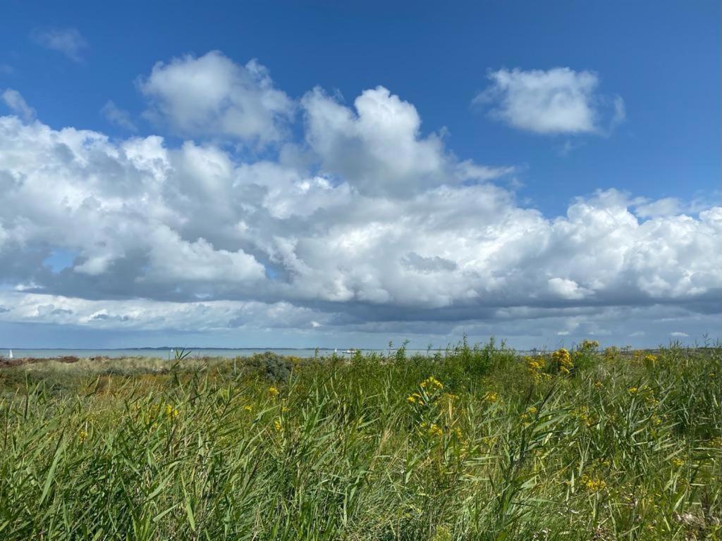 Natuurhuis Zeeuwse Rust Voor Wandelingen Aan Zee, Fietstochten In Natuur En Culinair Genieten Vila IJzendijke Exterior foto