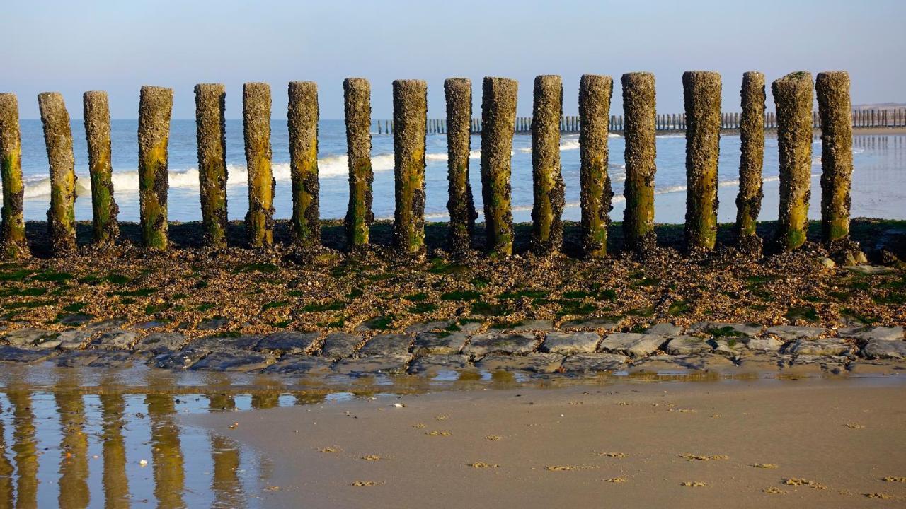 Natuurhuis Zeeuwse Rust Voor Wandelingen Aan Zee, Fietstochten In Natuur En Culinair Genieten Vila IJzendijke Exterior foto